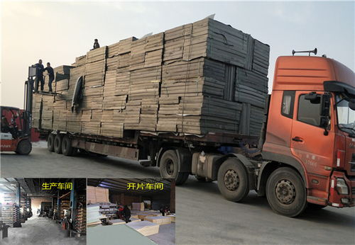 金壇PEF海綿板 福州地區(qū)在線咨詢及產品應用指南